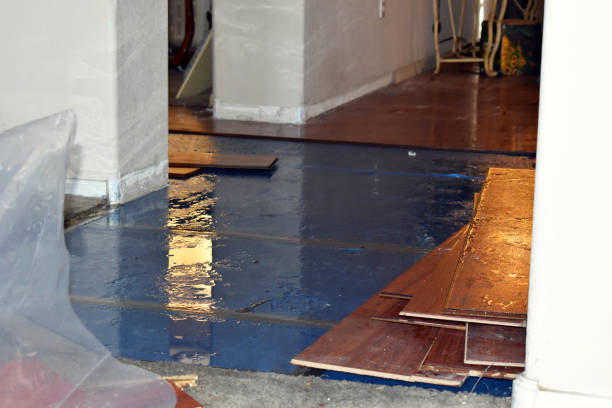 Professional Flood Damage Repair technician working in Ixonia, WI